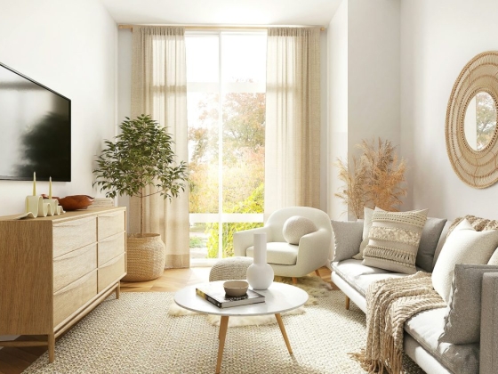 Helping Seniors Pack, Move, and Settle In